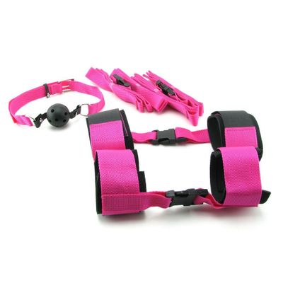 Fetish Fantasy Pink Passion Bondage Kit