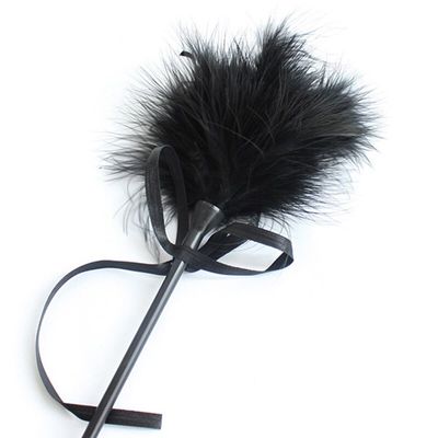 2 Pcs Sexy lingerie accessories flapping feathers plucked feathers sticks sticks accessories jewelry breasts teasing