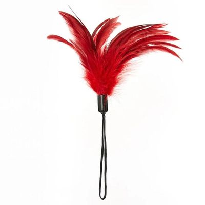 Pleasure Feather Tickler