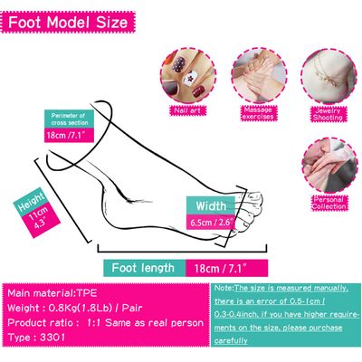Foot Model Stockings Male TPE Mannequin Cloned Fake Nail Display Tarsel Bone Ankle Rubber for Art Silicone Female 3301