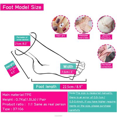 Foot Model Silicone 1 Pair Female Socks Male Plastic Mannequin Fake Nail Leg Display Tarsel Bone Ankle Rubber TPE ZISHINE 3706