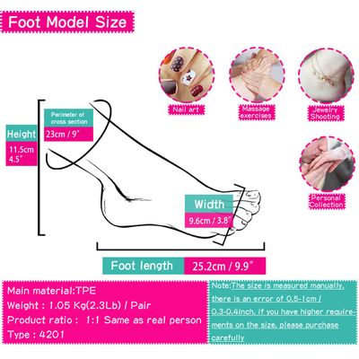 Fake Foot Model Stockings Mannequin 1:1 Realistic for Art Fake Feet Nail Foot Model Display Tarsel Bone Ankle Rubber Male 4201