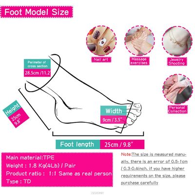 Foot Model Cloned Silicone Female Female Fake Nail Leg Display Tarsel Bone Ankle Rubber Male Plastic Mannequin Dummy Human TD