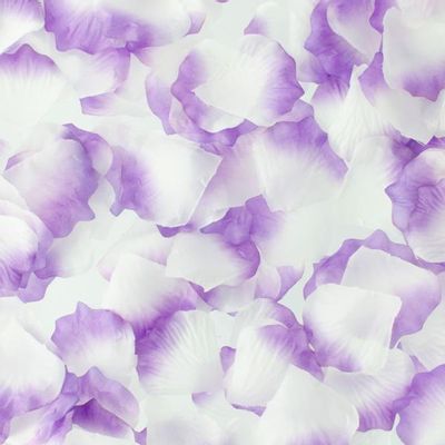 Zush - Naughty Rose Petals (White/Purple)