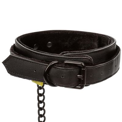 Boundless Collar & Leash