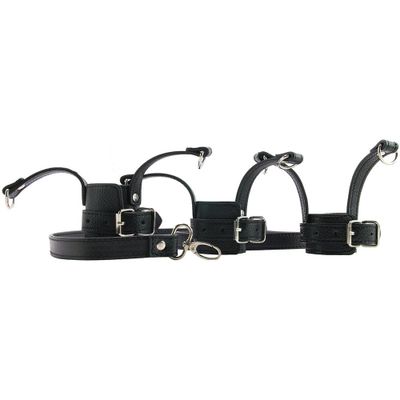 Ball Stretcher Trainer Set with Leash