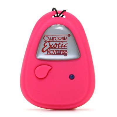 Shane's World Hookup Remote Control Egg Vibe