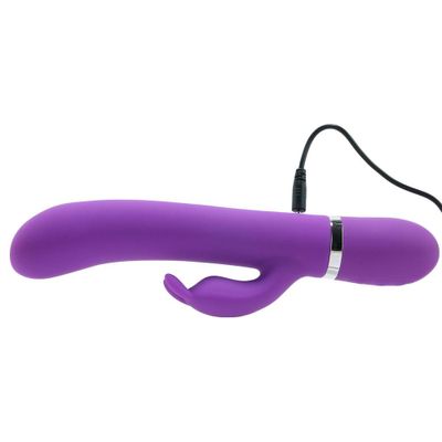 Sexercise Kegel Rabbit Training Set