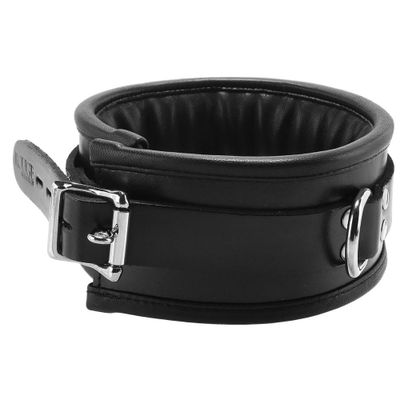 Padded Leather Collar