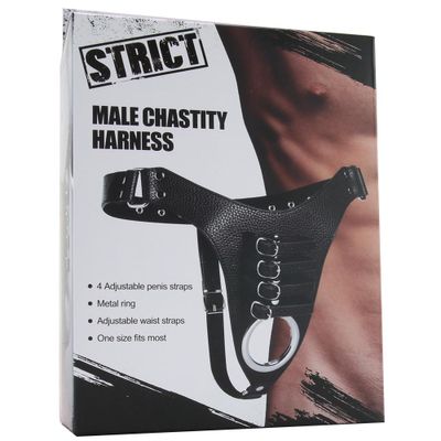 Strict Male Chastity Harness