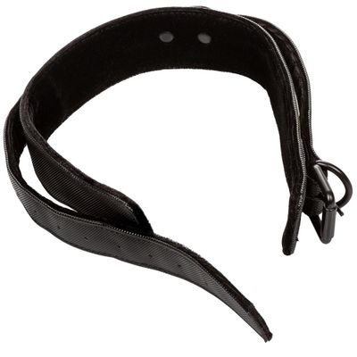 Boundless Collar & Leash