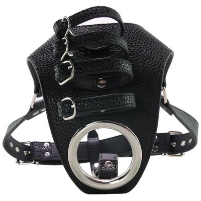 Strict Male Chastity Harness