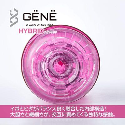 Kuudom - Gene of Ecstasy Hybrid Masturbator Cup (Purple)