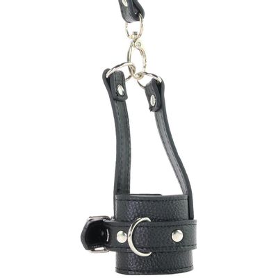 Ball Stretcher Trainer Set with Leash