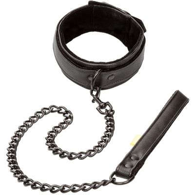 Boundless Collar & Leash