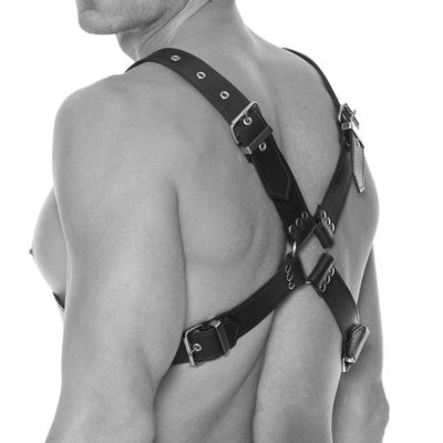 Ouch! Large Buckle Bonded Leather Harness - OS