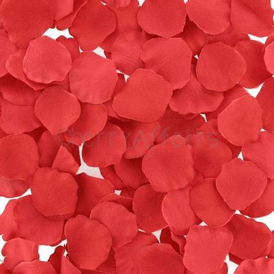 Lover's Premium - Bed of Roses Petals (Red)