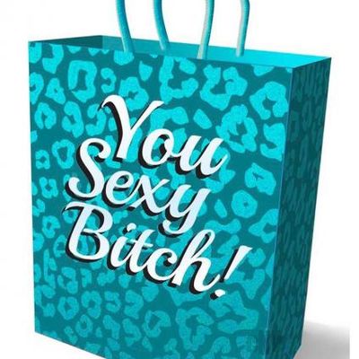 You Sexy Bitch Gift Bag Teal Blue 10 inches