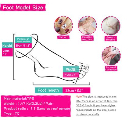 Foot Model Stockings Fetish Props Rubber Plastic Art Silicone Female Female Male Fake Nail Leg Display Tarsel Bone Ankle TC