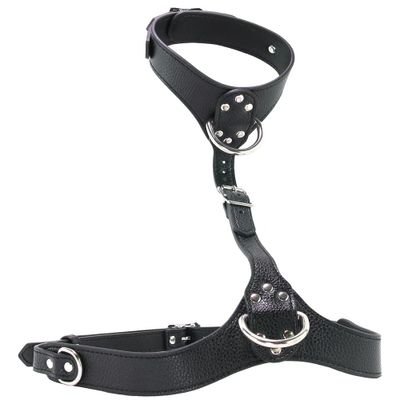 Strict Female Chest Harness