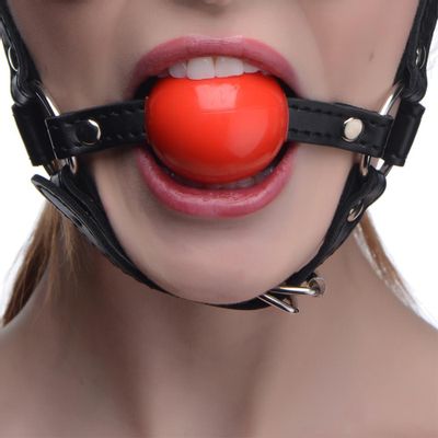 Strict Blindfold Harness and Ball Gag