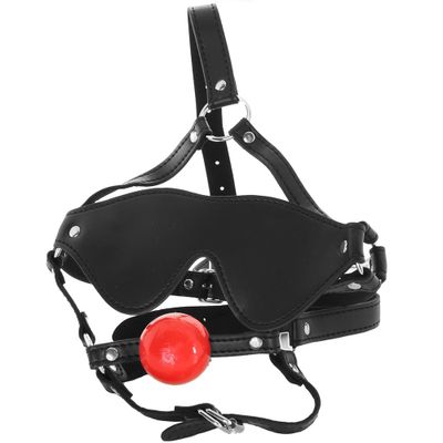 Strict Blindfold Harness and Ball Gag