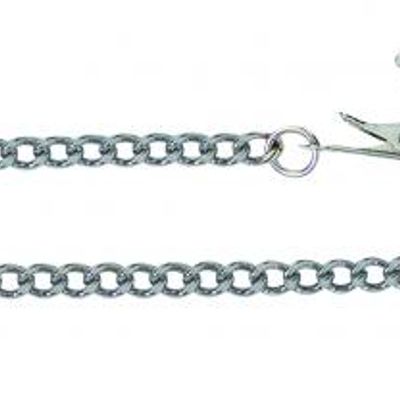 Adjustable Broad Tip Nipple Clamps With Link Chain Silver