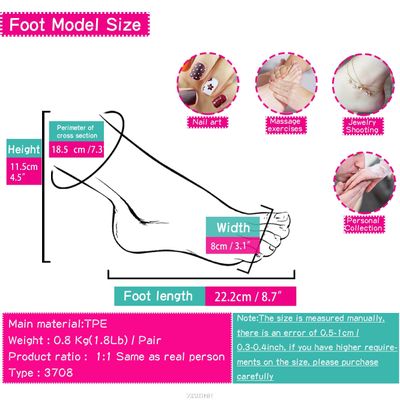 Silicone Foot Model Lifesize Female for Sketch Drawing Shoe Socks Sandal Display Manicure Practice Movie Props TPE ZISHINE 3708