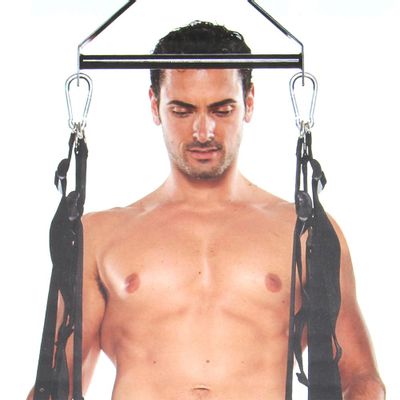 Whip Smart Pleasure Swing