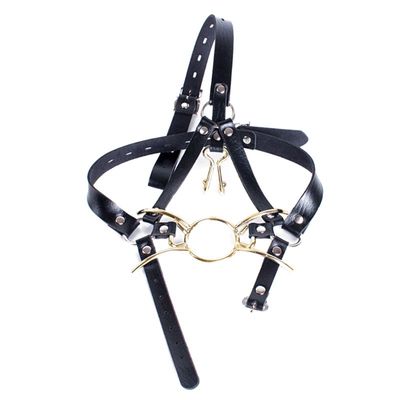 Metal Spider Ring Gag with Head Slave Harness Nose Hook Flirting Mouth Gags Sex